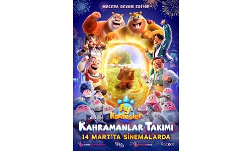 AYI KARDEŞLER: KAHRAMANLAR TAKIMI